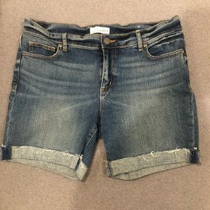 Ann Taylor LOFT Denim Shorts